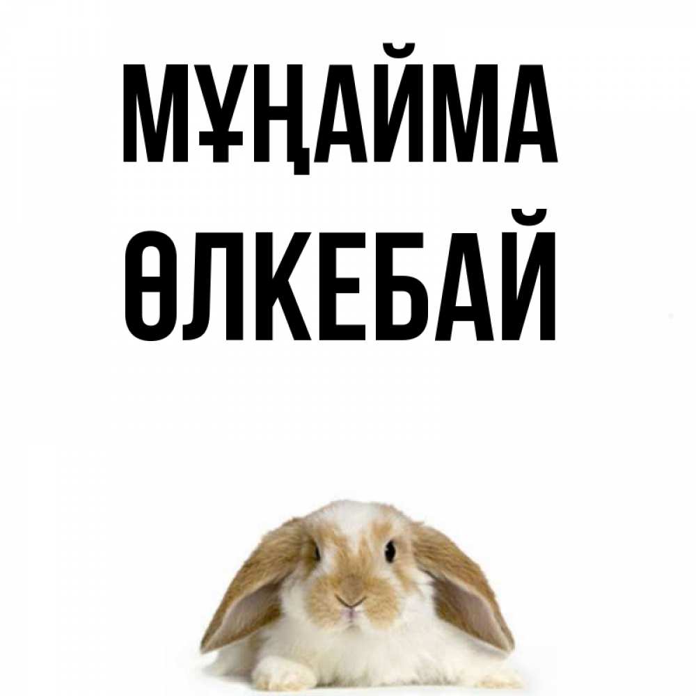 Күн сайын ашық хат с именем, ӨЛКЕБАЙ Мұңайма коричнево белый заяц с большими ушками Онлайн тегін жүктеп алу тілектері бар керемет карта 