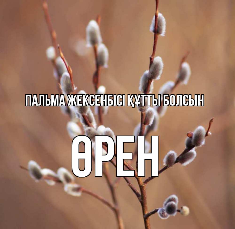 Күн сайын ашық хат с именем, ӨРЕН Пальма жексенбісі құтты болсын верба Онлайн тегін жүктеп алу тілектері бар керемет карта 