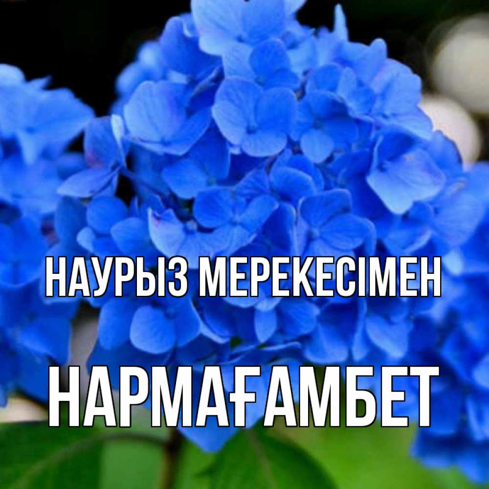Күн сайын ашық хат с именем, НАРМАҒАМБЕТ Наурыз мерекесімен синие цветы Онлайн тегін жүктеп алу тілектері бар керемет карта 