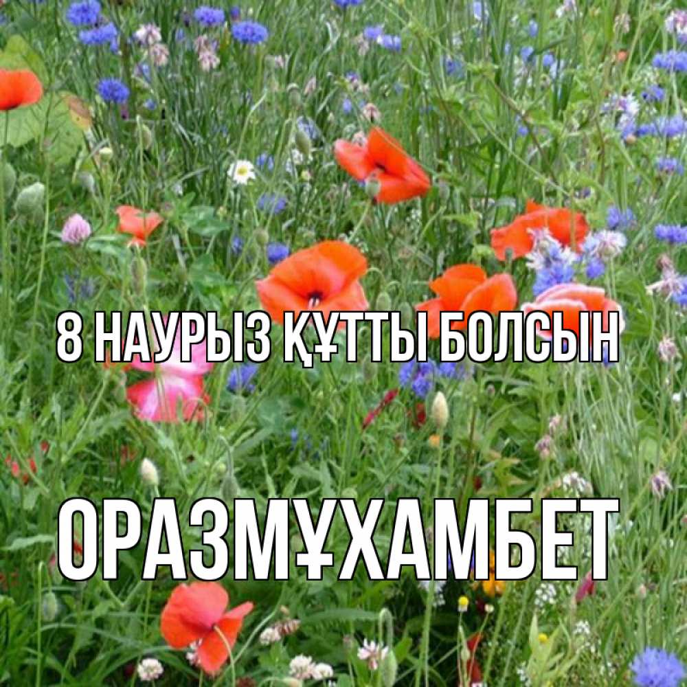Күн сайын ашық хат с именем, ОРАЗМҰХАМБЕТ 8 наурыз құтты болсын международный женский день 4 Онлайн тегін жүктеп алу тілектері бар керемет карта 