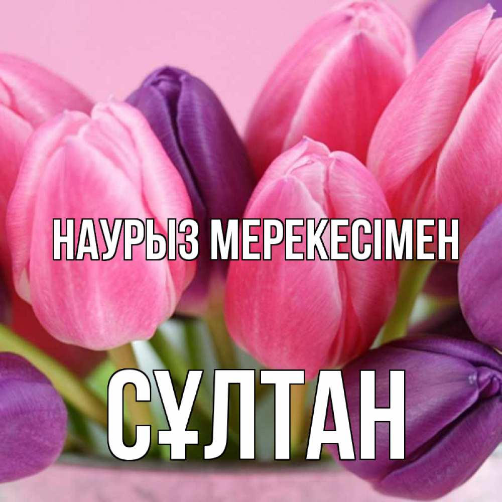 Күн сайын ашық хат с именем, СҰЛТАН Наурыз мерекесімен маме 1 Онлайн тегін жүктеп алу тілектері бар керемет карта 