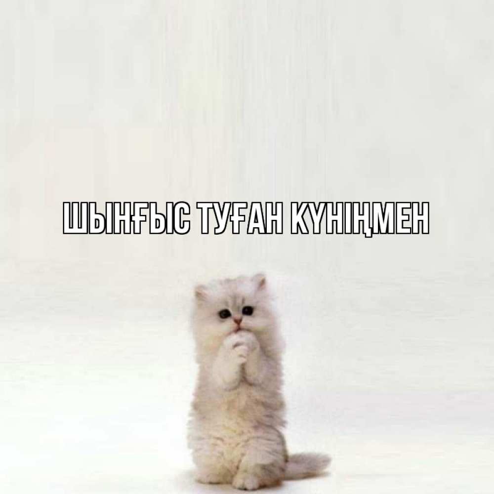 Картинка  с именем , ШЫНҒЫС! ТУҒАН КҮНІҢМЕН!