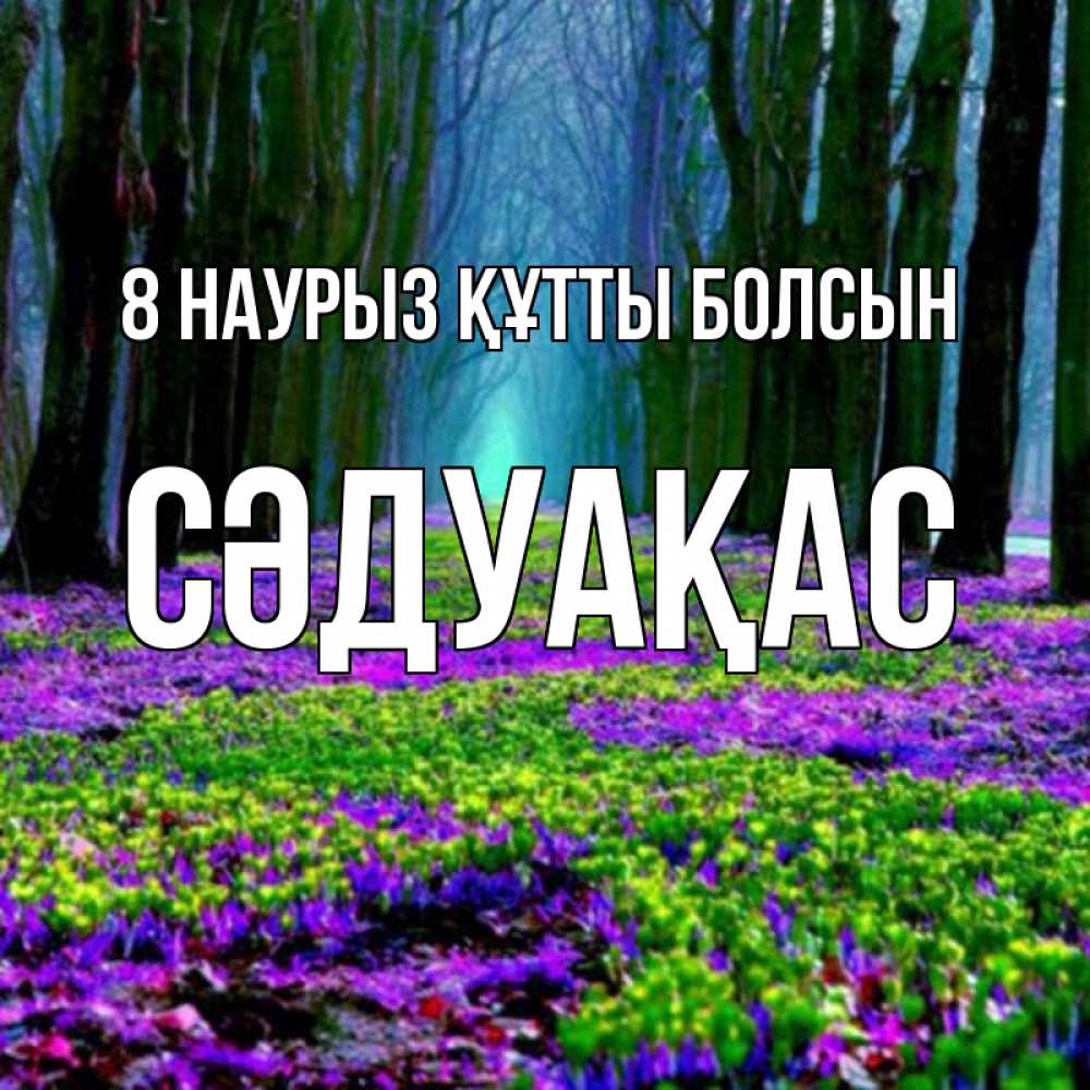 Күн сайын ашық хат с именем, СӘДУАҚАС 8 наурыз құтты болсын фиолетовые цветы в лесу 1 Онлайн тегін жүктеп алу тілектері бар керемет карта 