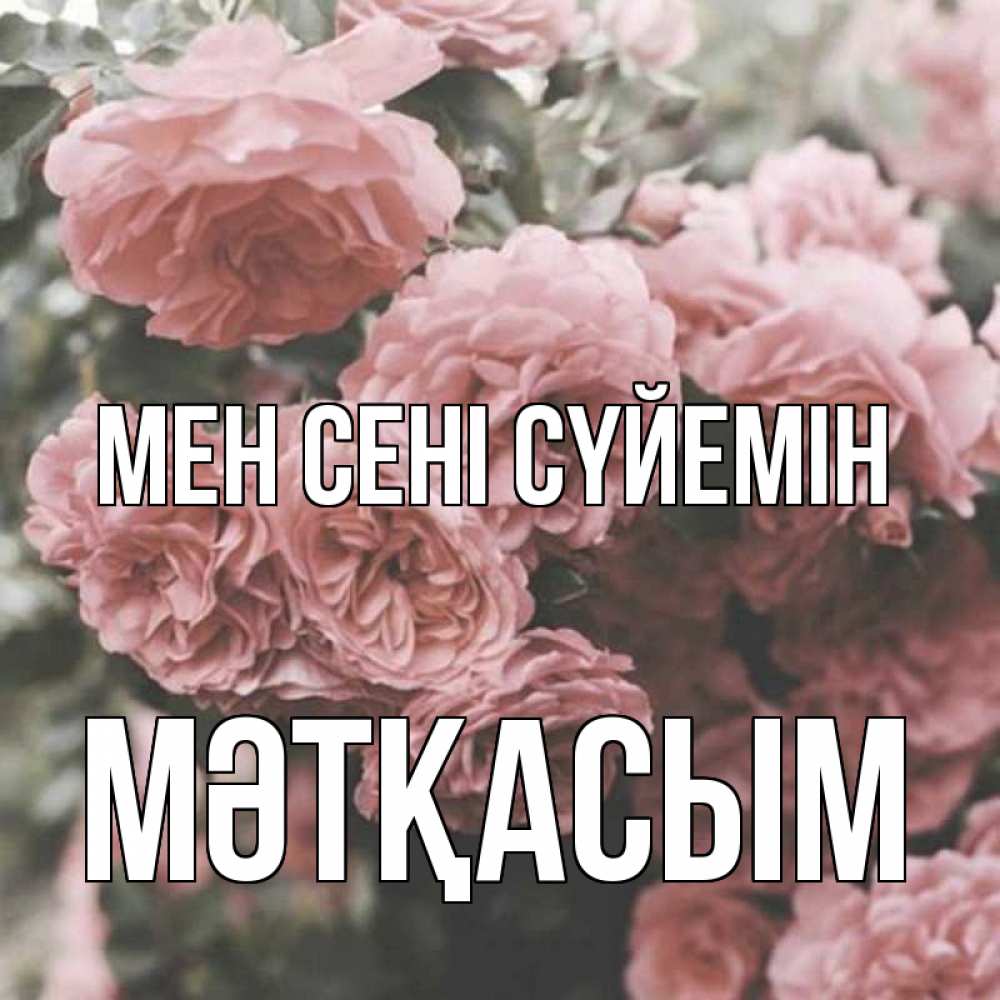 Күн сайын ашық хат с именем, МӘТҚАСЫМ Мен сені сүйемін розы 3 Онлайн тегін жүктеп алу тілектері бар керемет карта 