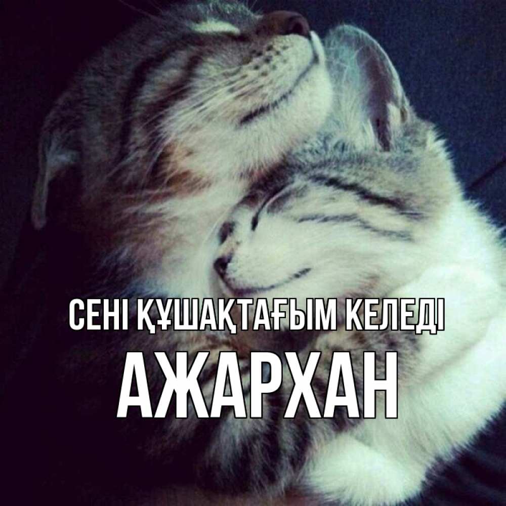 Күн сайын ашық хат с именем, АЖАРХАН сені құшақтағым келеді полосатики Онлайн тегін жүктеп алу тілектері бар керемет карта 