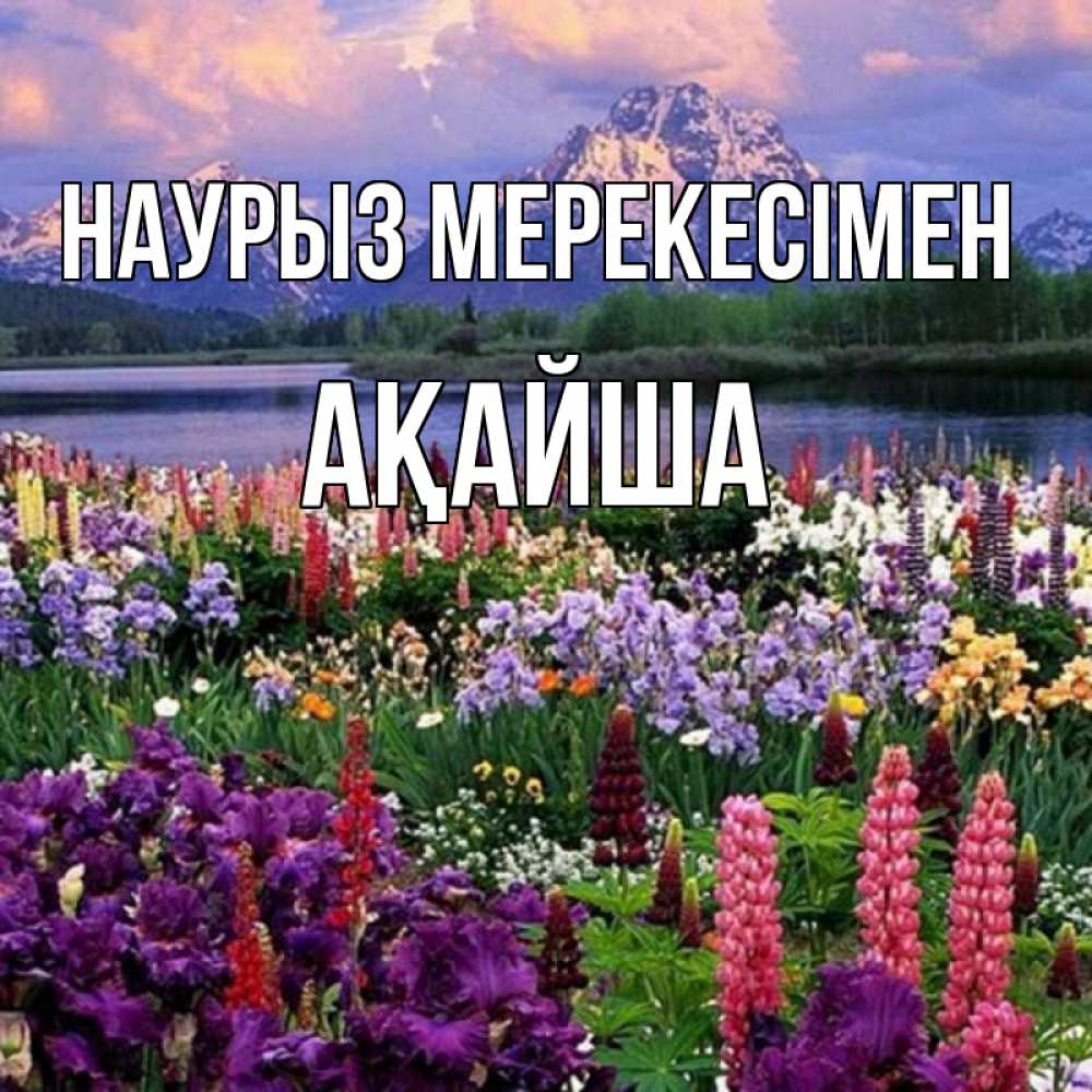 Күн сайын ашық хат с именем, АҚАЙША Наурыз мерекесімен праздник весны наурыз Онлайн тегін жүктеп алу тілектері бар керемет карта 