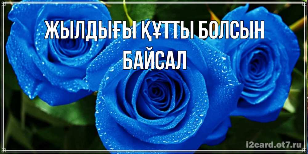 Күн сайын ашық хат с именем, Байсал Жылдығы құтты болсын розы с синим цветом Онлайн тегін жүктеп алу тілектері бар керемет карта 