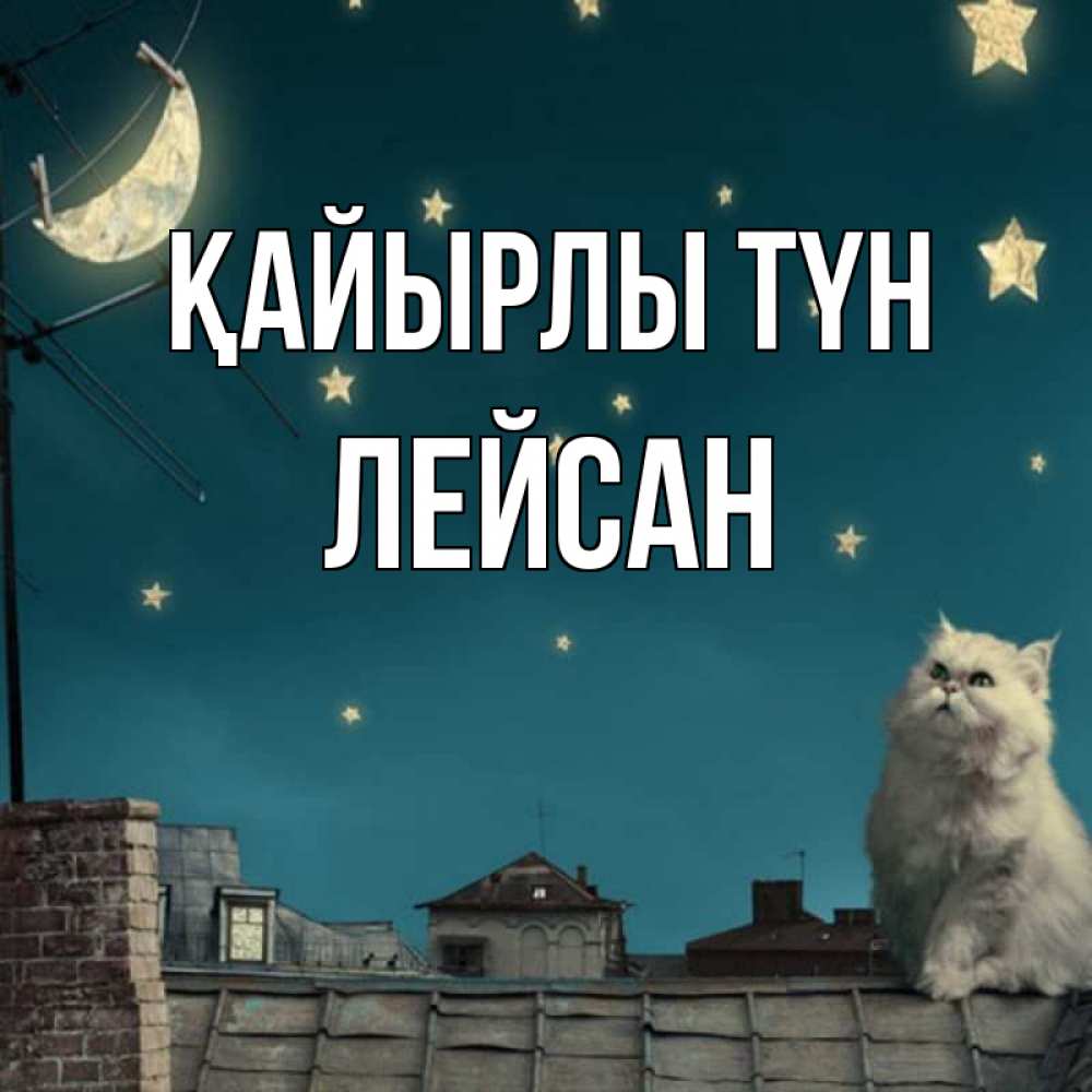 Күн сайын ашық хат с именем, Лейсан Қайырлы түн белый кот сидит на крыше Онлайн тегін жүктеп алу тілектері бар керемет карта 