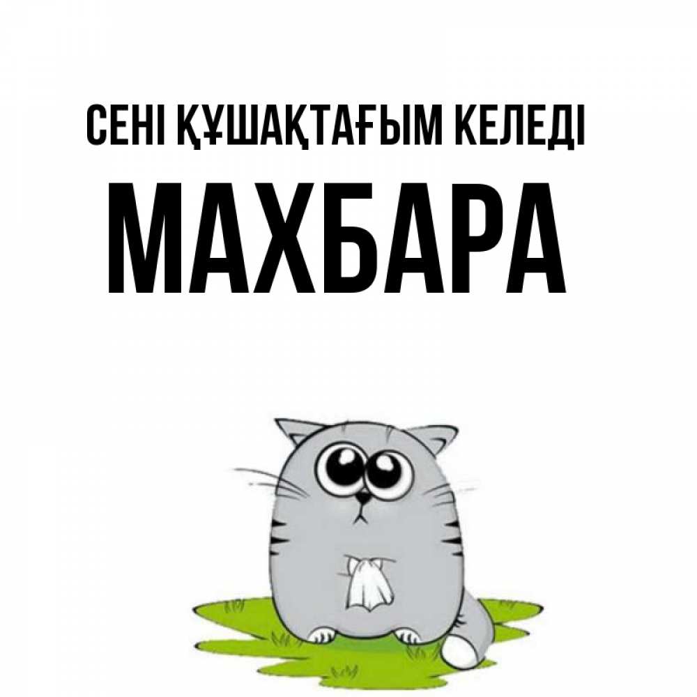 Күн сайын ашық хат с именем, МАХБАРА сені құшақтағым келеді котик теребит платочек сидя на травке Онлайн тегін жүктеп алу тілектері бар керемет карта 
