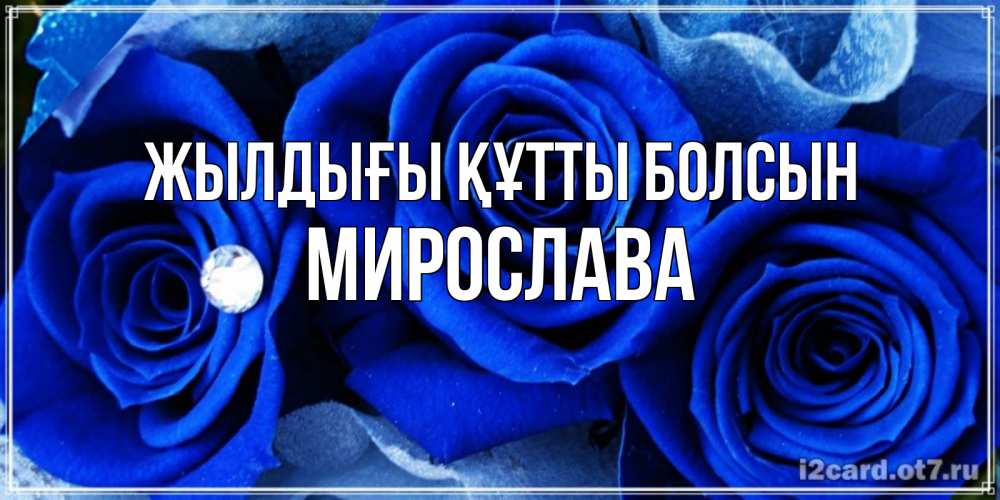 Күн сайын ашық хат с именем, Мирослава Жылдығы құтты болсын синие розы в росе Онлайн тегін жүктеп алу тілектері бар керемет карта 