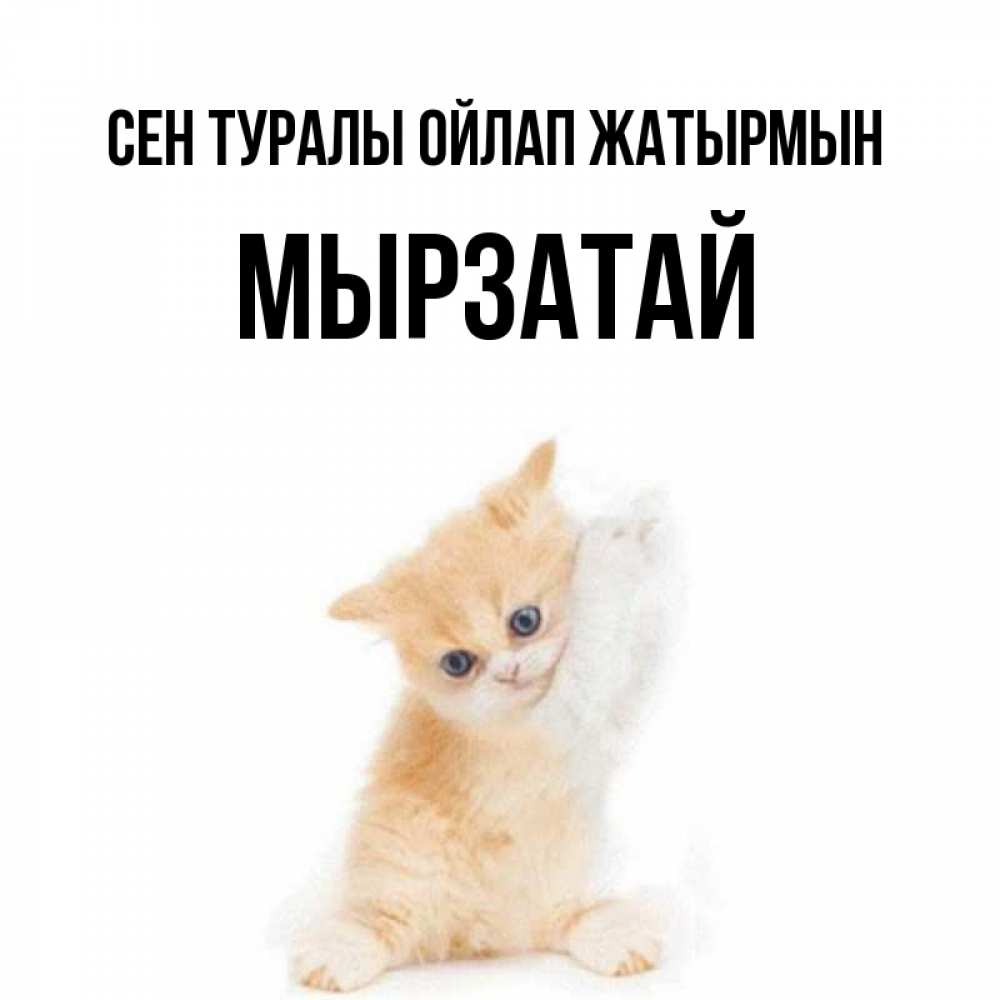 Күн сайын ашық хат с именем, Мырзатай Сен туралы ойлап жатырмын зверушки и милота Онлайн тегін жүктеп алу тілектері бар керемет карта 