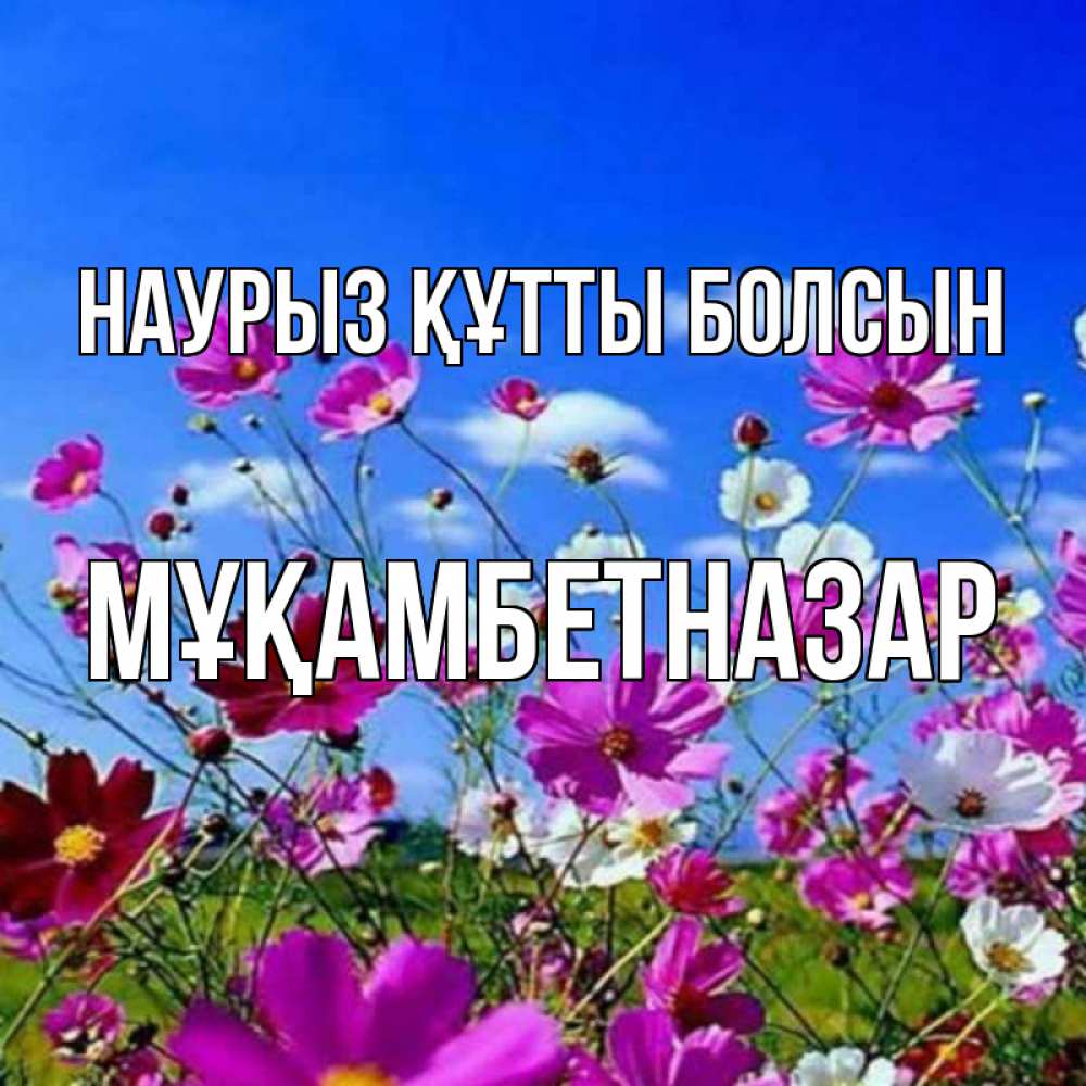 Күн сайын ашық хат с именем, Мұқамбетназар Наурыз құтты болсын цветы Онлайн тегін жүктеп алу тілектері бар керемет карта 