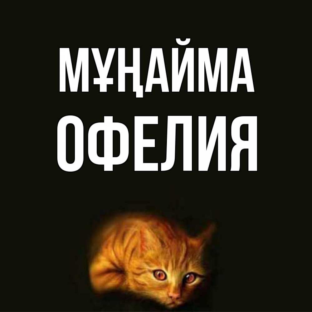 Күн сайын ашық хат с именем, Офелия Мұңайма лежащий кот в темноте Онлайн тегін жүктеп алу тілектері бар керемет карта 