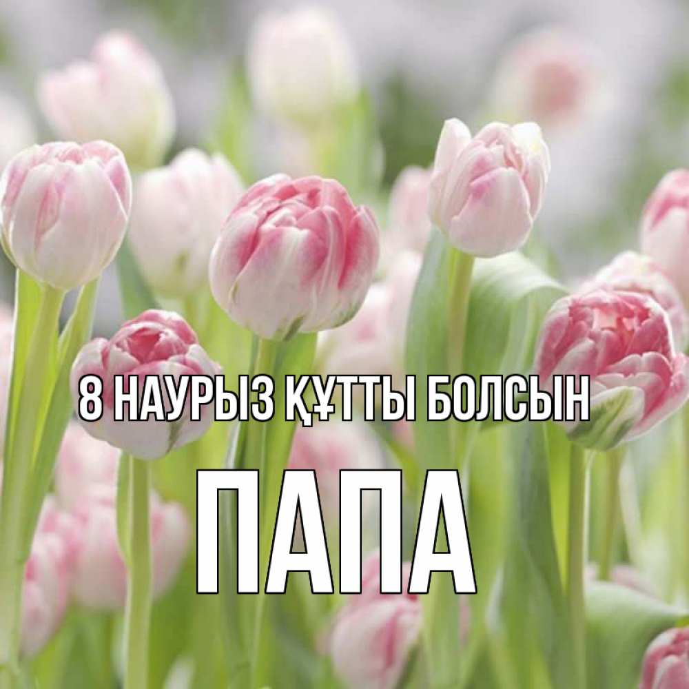 Күн сайын ашық хат с именем, Папа 8 наурыз құтты болсын цветы Онлайн тегін жүктеп алу тілектері бар керемет карта 
