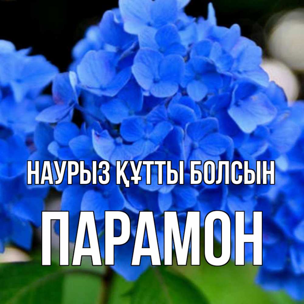 Күн сайын ашық хат с именем, Парамон Наурыз құтты болсын синие цветы Онлайн тегін жүктеп алу тілектері бар керемет карта 