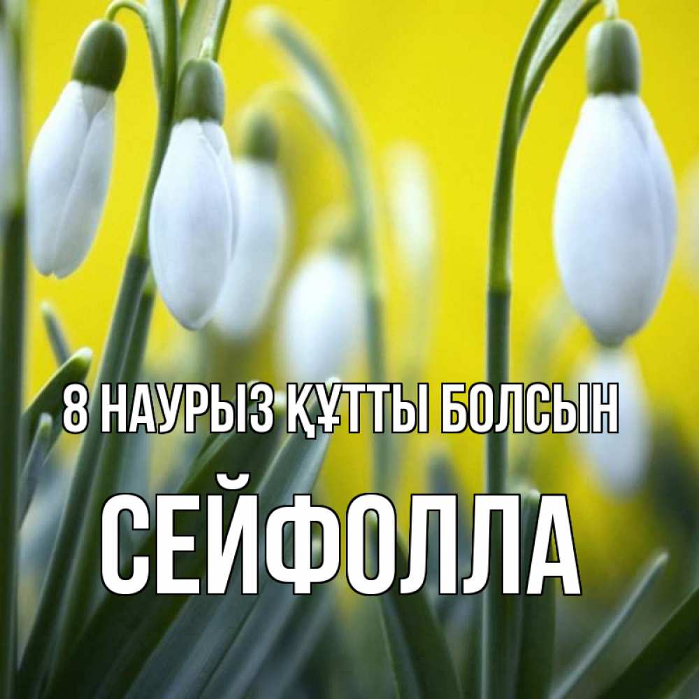 Күн сайын ашық хат с именем, СЕЙФОЛЛА 8 наурыз құтты болсын весенние цветы Онлайн тегін жүктеп алу тілектері бар керемет карта 