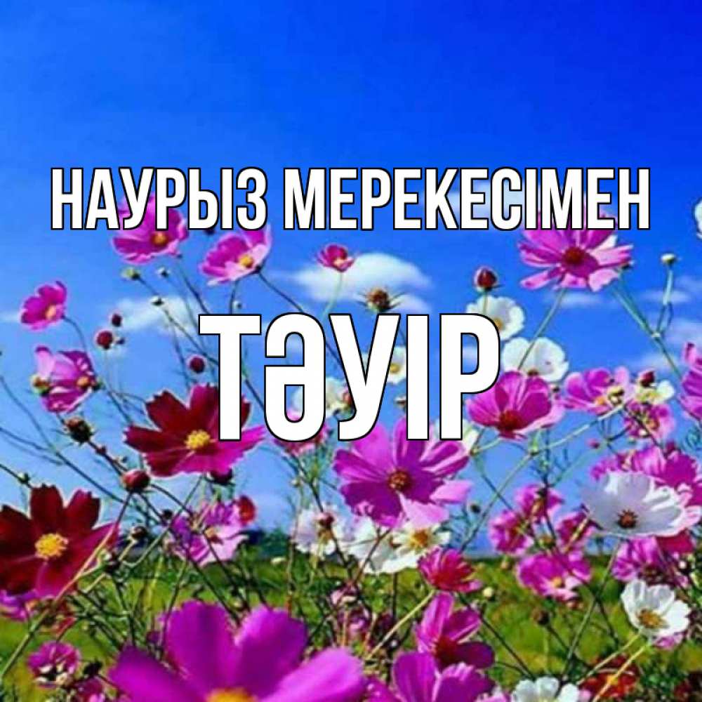 Күн сайын ашық хат с именем, ТӘУІР Наурыз мерекесімен цветы Онлайн тегін жүктеп алу тілектері бар керемет карта 