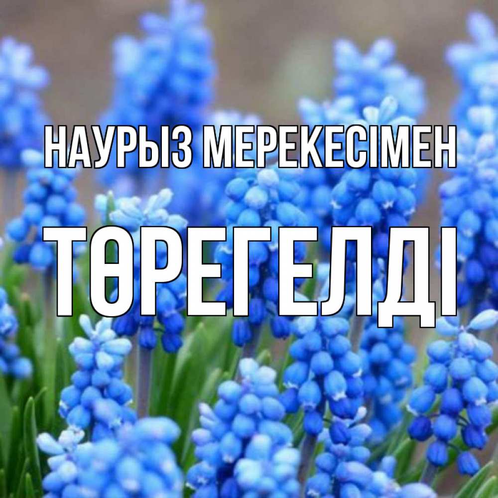 Күн сайын ашық хат с именем, Төрегелді Наурыз мерекесімен Поздравительная открытка для женщин с цветами на праздничную дату Онлайн тегін жүктеп алу тілектері бар керемет карта 