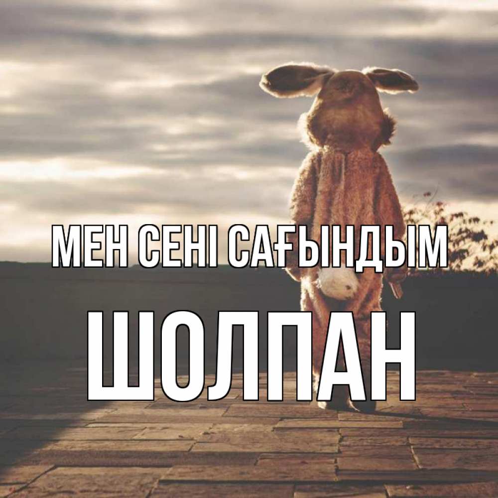 Күн сайын ашық хат с именем, ШОЛПАН Мен сені сағындым даже в костюме зайца Онлайн тегін жүктеп алу тілектері бар керемет карта 