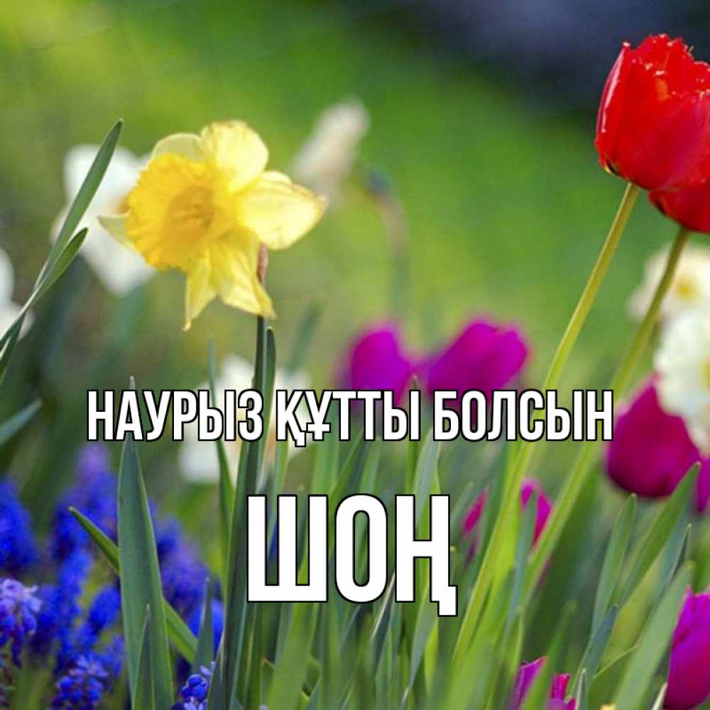 Күн сайын ашық хат с именем, ШОҢ Наурыз құтты болсын наурыз  3 открытки Онлайн тегін жүктеп алу тілектері бар керемет карта 