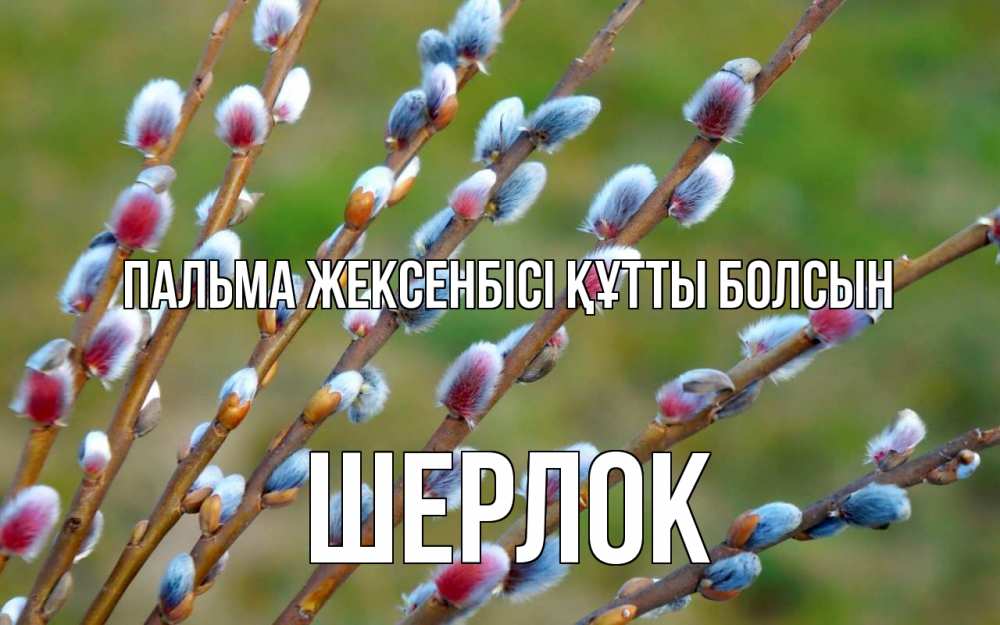 Күн сайын ашық хат с именем, Шерлок Пальма жексенбісі құтты болсын верба Онлайн тегін жүктеп алу тілектері бар керемет карта 