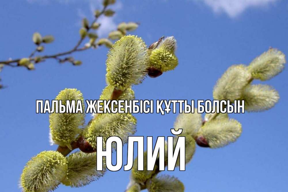 Күн сайын ашық хат с именем, Юлий Пальма жексенбісі құтты болсын верба Онлайн тегін жүктеп алу тілектері бар керемет карта 