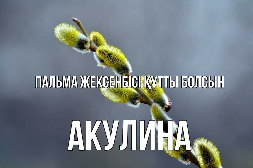 Күн сайын ашық хат с именем, Акулина Пальма жексенбісі құтты болсын верба Онлайн тегін жүктеп алу тілектері бар керемет карта 