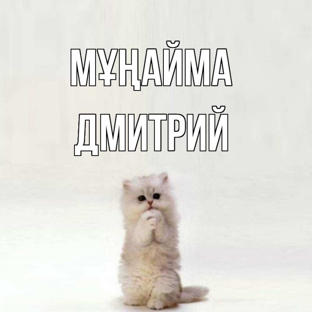 Күн сайын ашық хат с именем, Дмитрий Мұңайма грустный кот Онлайн тегін жүктеп алу тілектері бар керемет карта 