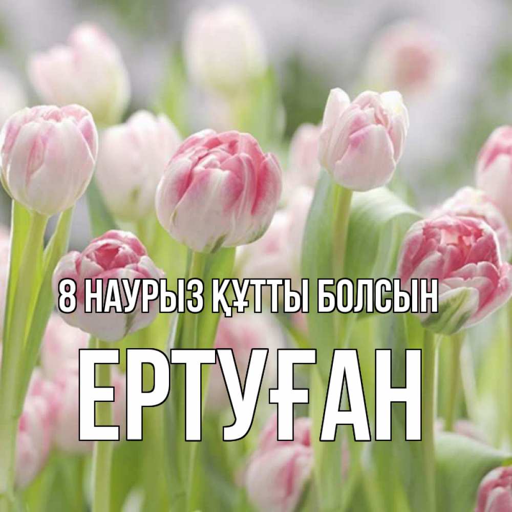 Күн сайын ашық хат с именем, Ертуған 8 наурыз құтты болсын цветы Онлайн тегін жүктеп алу тілектері бар керемет карта 
