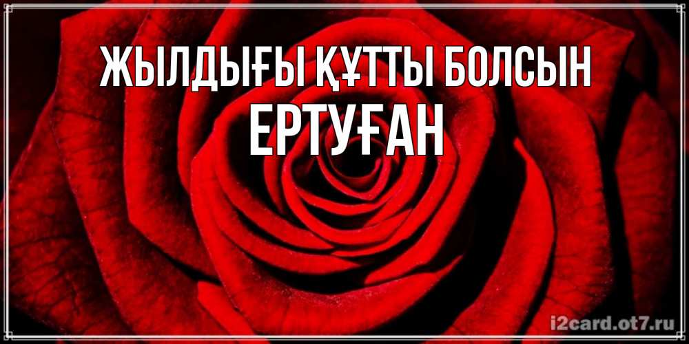 Күн сайын ашық хат с именем, Ертуған Жылдығы құтты болсын алая роза Онлайн тегін жүктеп алу тілектері бар керемет карта 