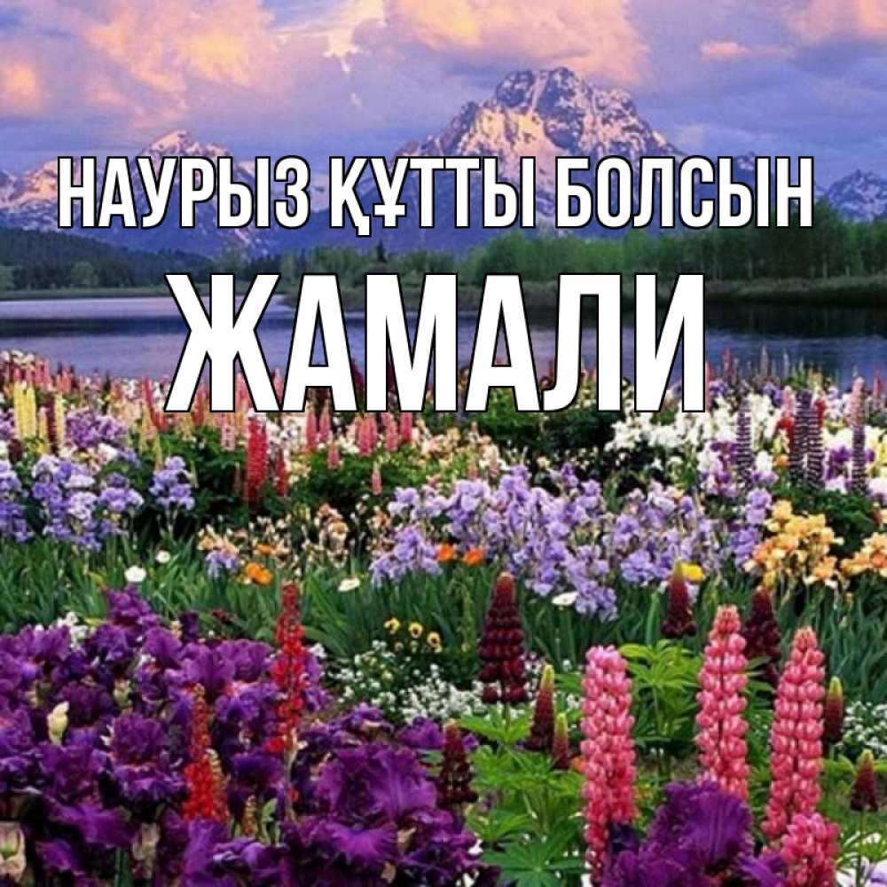 Күн сайын ашық хат с именем, ЖАМАЛИ Наурыз құтты болсын наурыз Онлайн тегін жүктеп алу тілектері бар керемет карта 