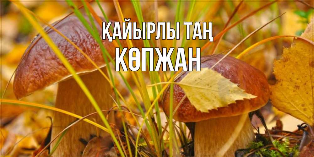 Күн сайын ашық хат с именем, Көпжан Қайырлы таң осенние грибы Онлайн тегін жүктеп алу тілектері бар керемет карта 