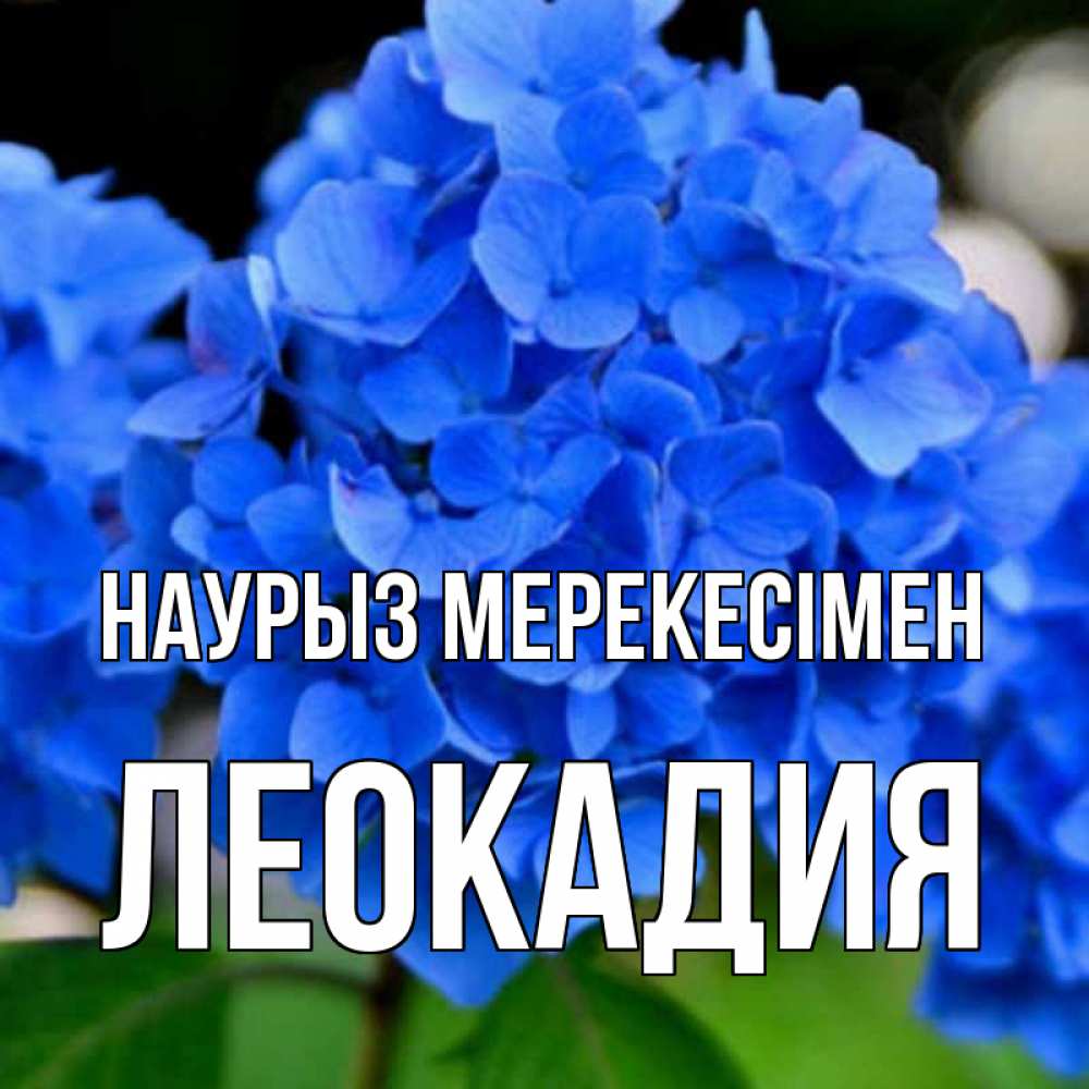 Күн сайын ашық хат с именем, Леокадия Наурыз мерекесімен синие цветы Онлайн тегін жүктеп алу тілектері бар керемет карта 