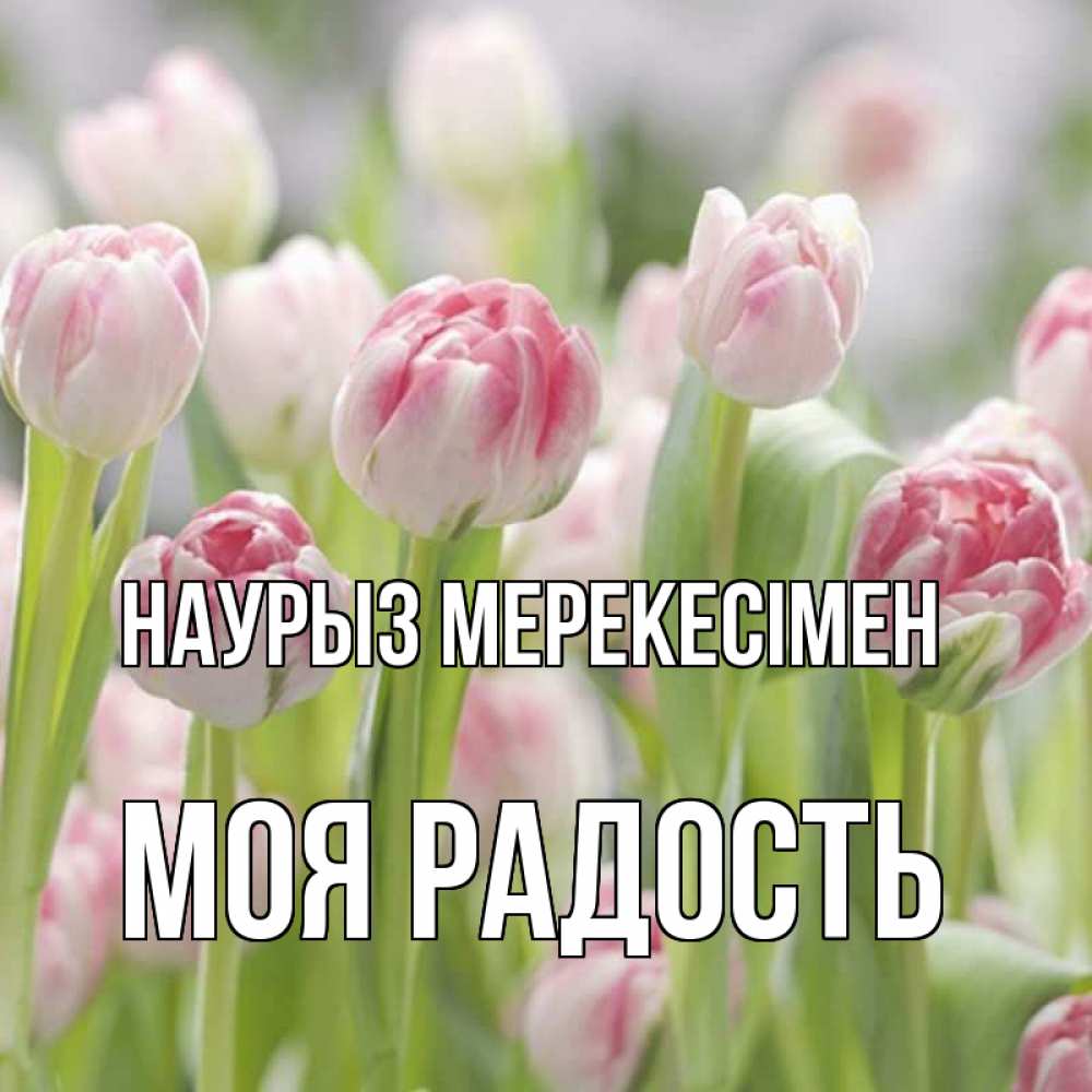 Күн сайын ашық хат с именем, Моя-радость Наурыз мерекесімен цветы Онлайн тегін жүктеп алу тілектері бар керемет карта 