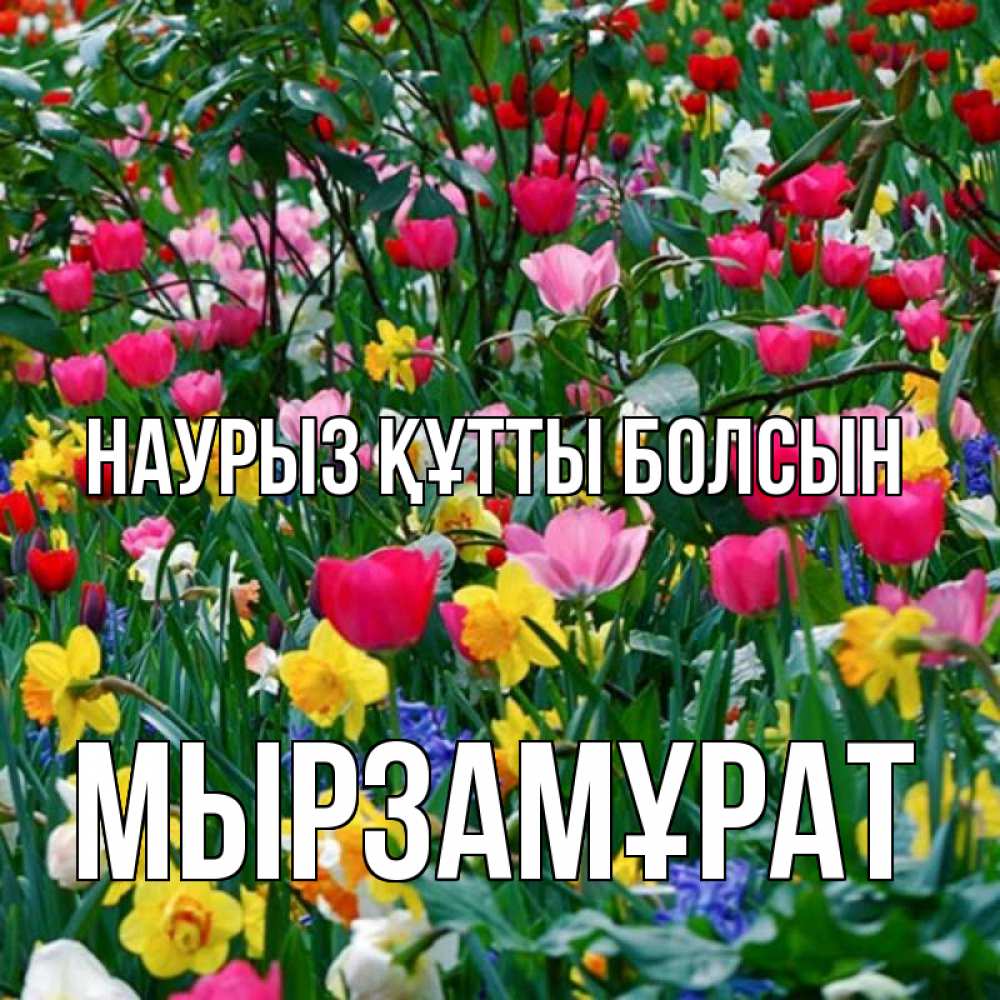Күн сайын ашық хат с именем, Мырзамұрат Наурыз құтты болсын с наурызом поздравления для женщины Онлайн тегін жүктеп алу тілектері бар керемет карта 
