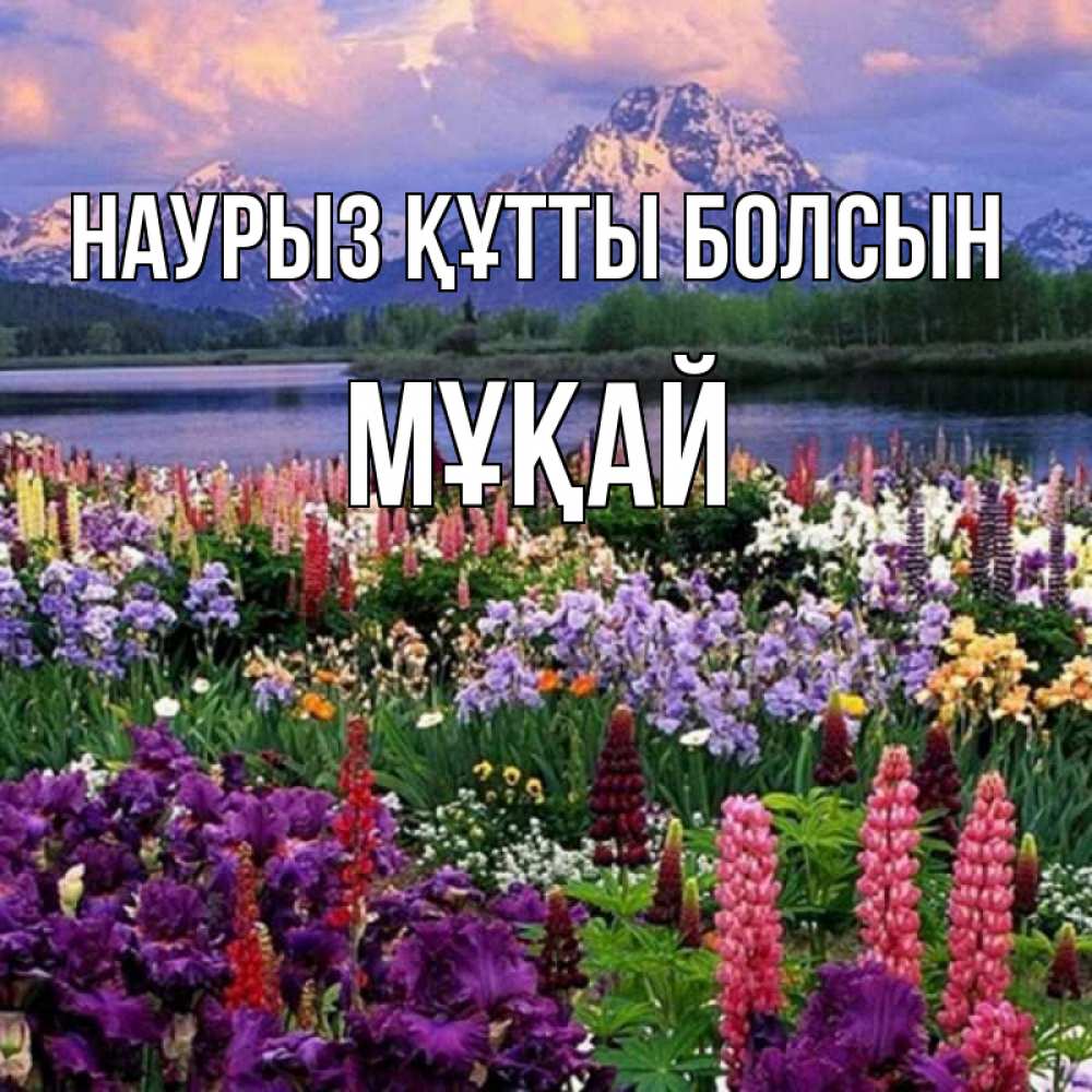 Күн сайын ашық хат с именем, Мұқай Наурыз құтты болсын наурыз Онлайн тегін жүктеп алу тілектері бар керемет карта 