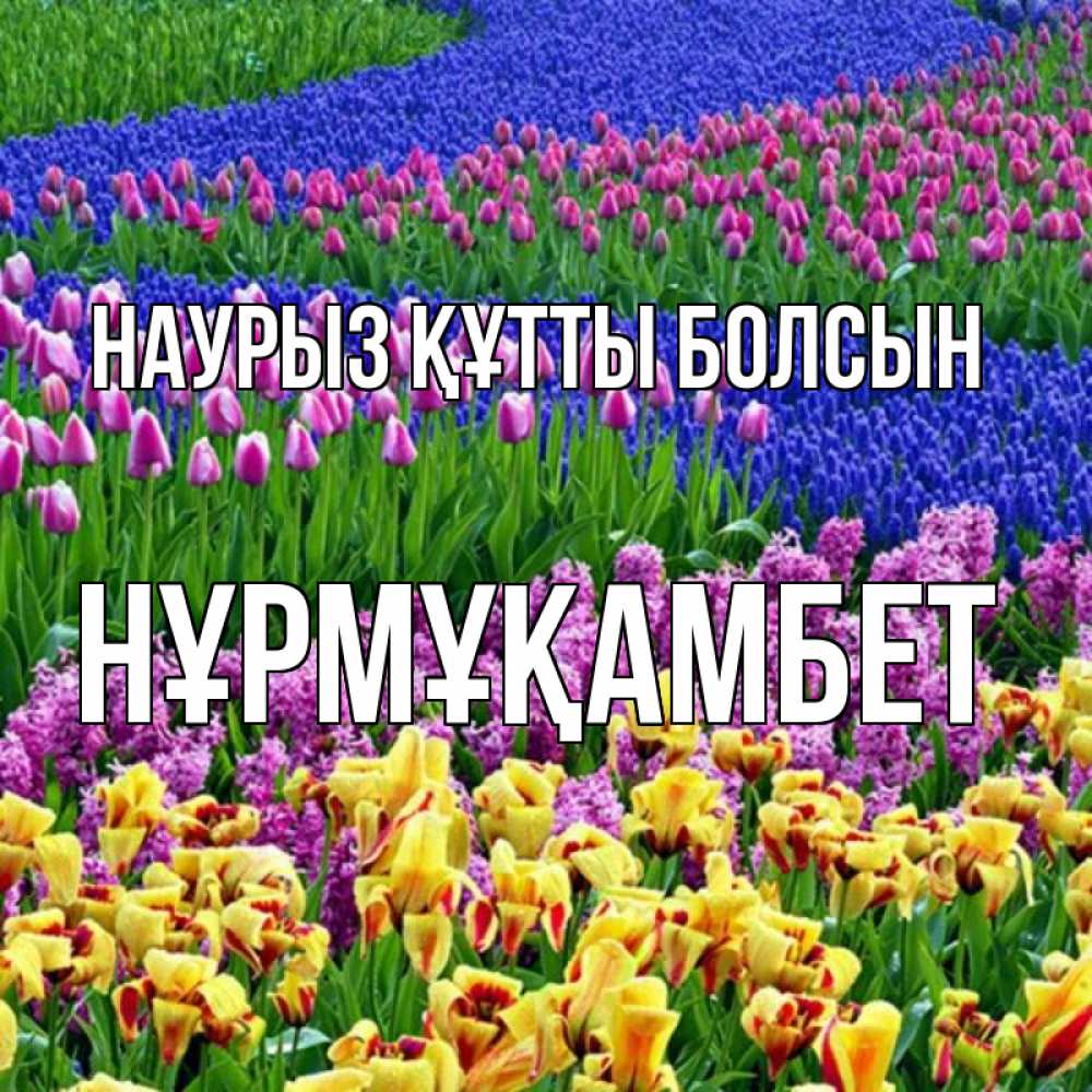 Күн сайын ашық хат с именем, НҰРМҰҚАМБЕТ Наурыз құтты болсын цветы Онлайн тегін жүктеп алу тілектері бар керемет карта 