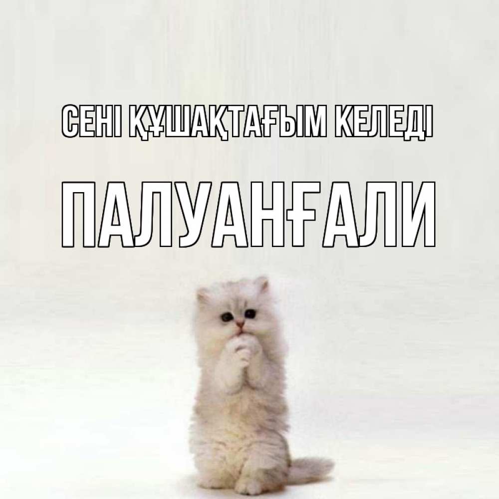 Күн сайын ашық хат с именем, ПАЛУАНҒАЛИ сені құшақтағым келеді открытки с креативными подписями Онлайн тегін жүктеп алу тілектері бар керемет карта 