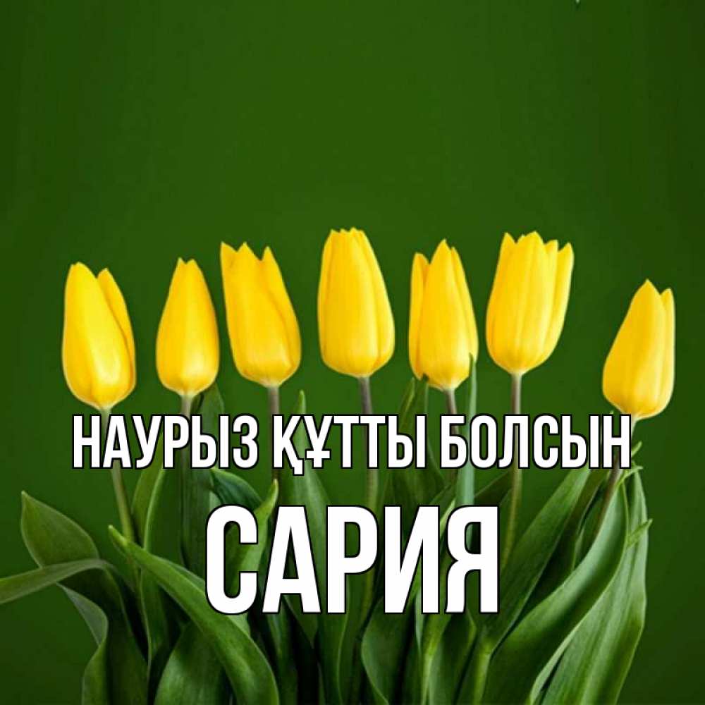 Күн сайын ашық хат с именем, САРИЯ Наурыз құтты болсын желтого цвета 3 Онлайн тегін жүктеп алу тілектері бар керемет карта 