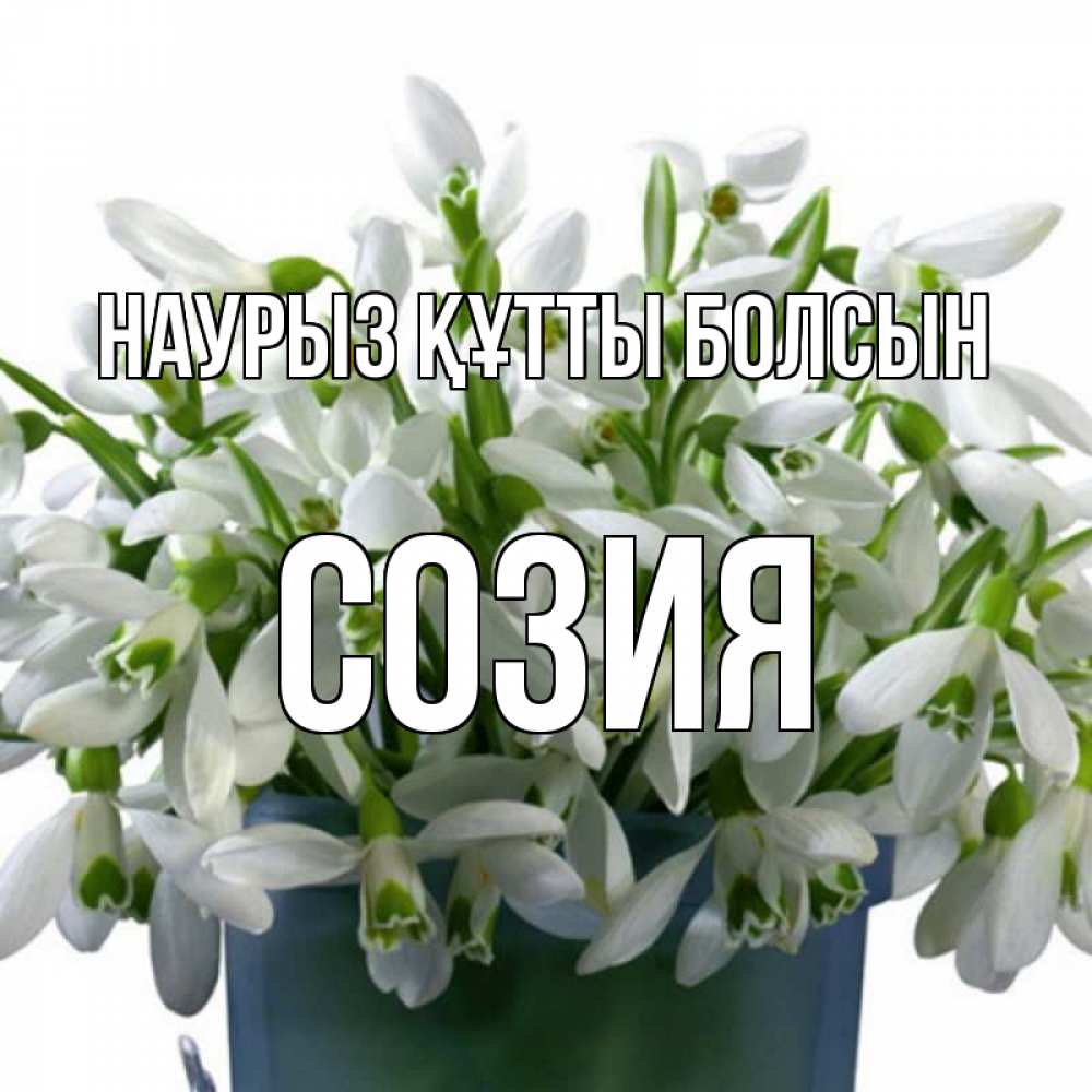 Күн сайын ашық хат с именем, Созия Наурыз құтты болсын цветы к наурызу Онлайн тегін жүктеп алу тілектері бар керемет карта 