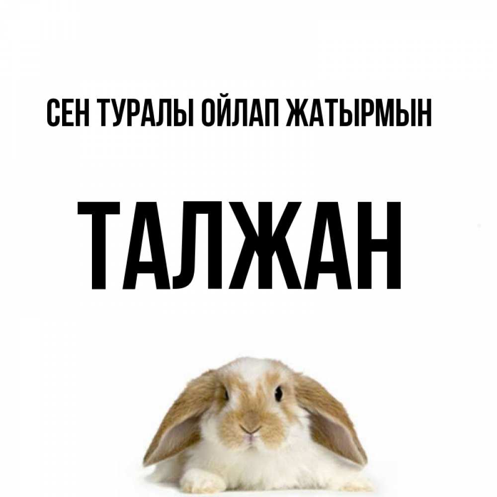 Күн сайын ашық хат с именем, ТАЛЖАН Сен туралы ойлап жатырмын подписать своими руками онлайн Онлайн тегін жүктеп алу тілектері бар керемет карта 