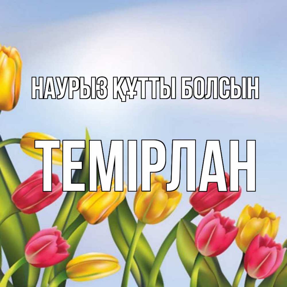 Күн сайын ашық хат с именем, ТЕМІРЛАН Наурыз құтты болсын наурыз Онлайн тегін жүктеп алу тілектері бар керемет карта 