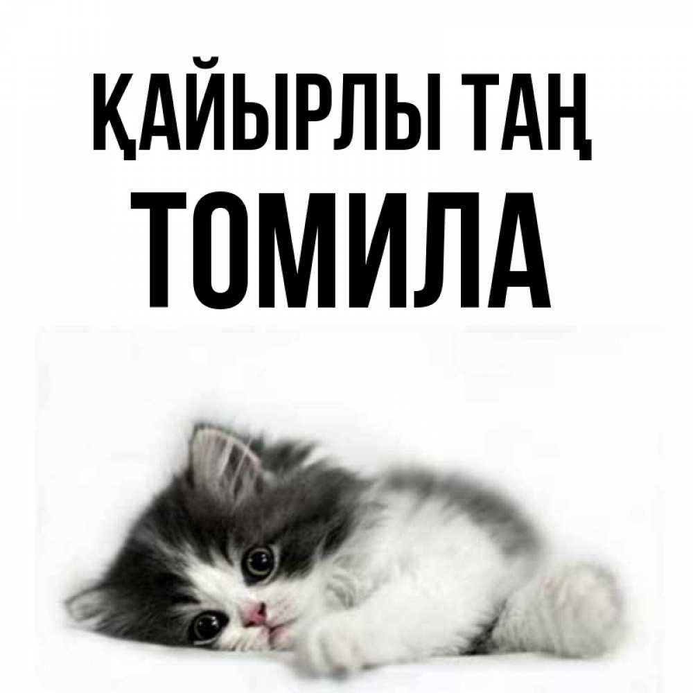 Күн сайын ашық хат с именем, Томила Қайырлы таң кот лапки Онлайн тегін жүктеп алу тілектері бар керемет карта 