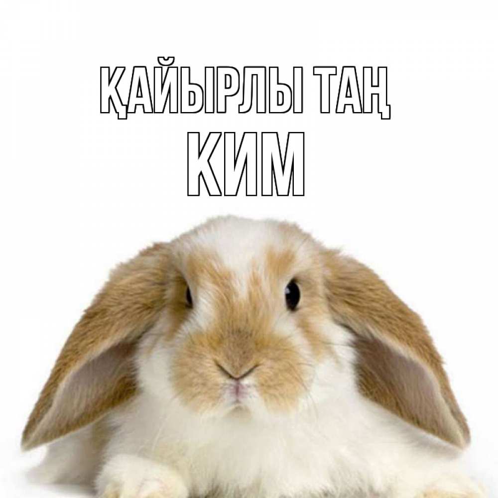 Күн сайын ашық хат с именем, Ким Қайырлы таң прикольные открытки на каждый день Онлайн тегін жүктеп алу тілектері бар керемет карта 