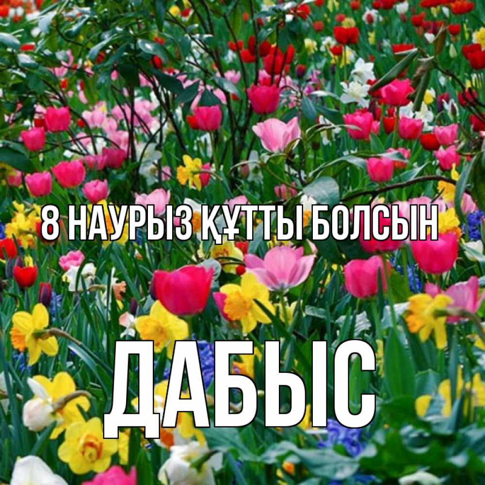Күн сайын ашық хат с именем, Дабыс 8 наурыз құтты болсын с международным женским днем поздравления для женщины Онлайн тегін жүктеп алу тілектері бар керемет карта 