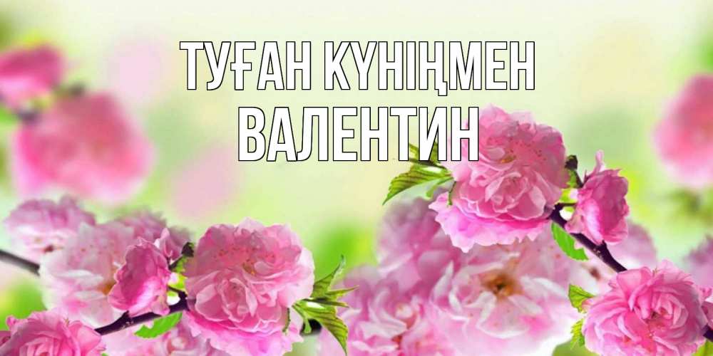 Күн сайын ашық хат с именем, Валентин Туған күніңмен веточки с цветками Онлайн тегін жүктеп алу тілектері бар керемет карта 