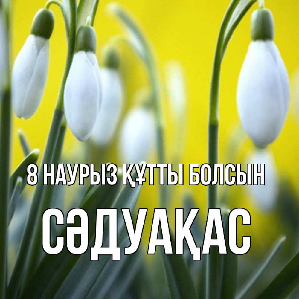 Күн сайын ашық хат с именем, СӘДУАҚАС 8 наурыз құтты болсын весенние цветы Онлайн тегін жүктеп алу тілектері бар керемет карта 