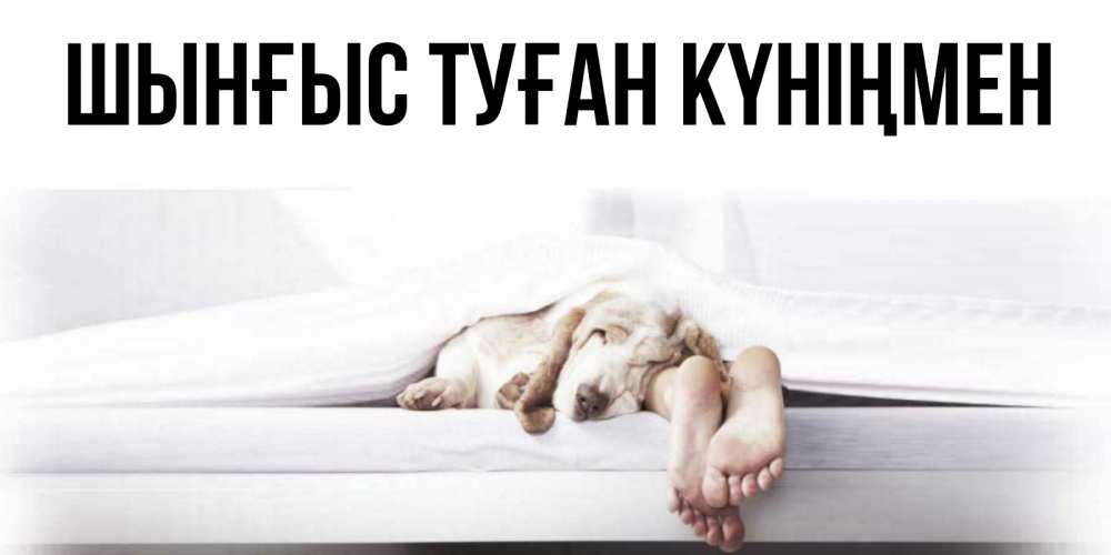 Картинка  с именем , ШЫНҒЫС! ТУҒАН КҮНІҢМЕН!