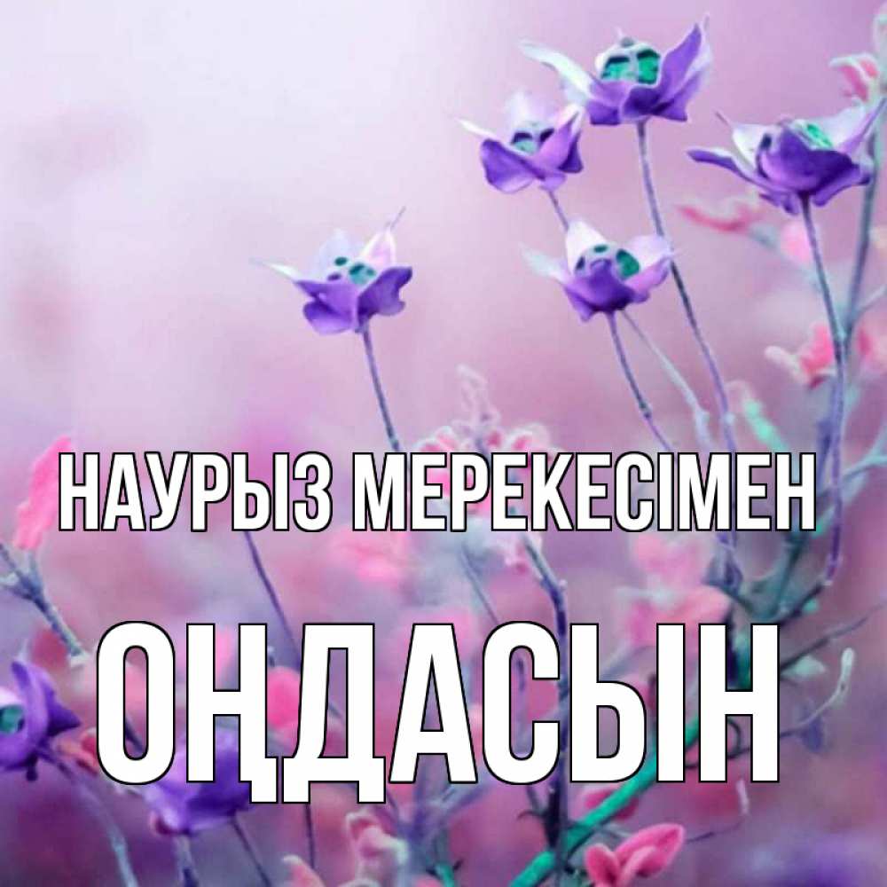 Күн сайын ашық хат с именем, ОҢДАСЫН Наурыз мерекесімен международный женский день 2 Онлайн тегін жүктеп алу тілектері бар керемет карта 