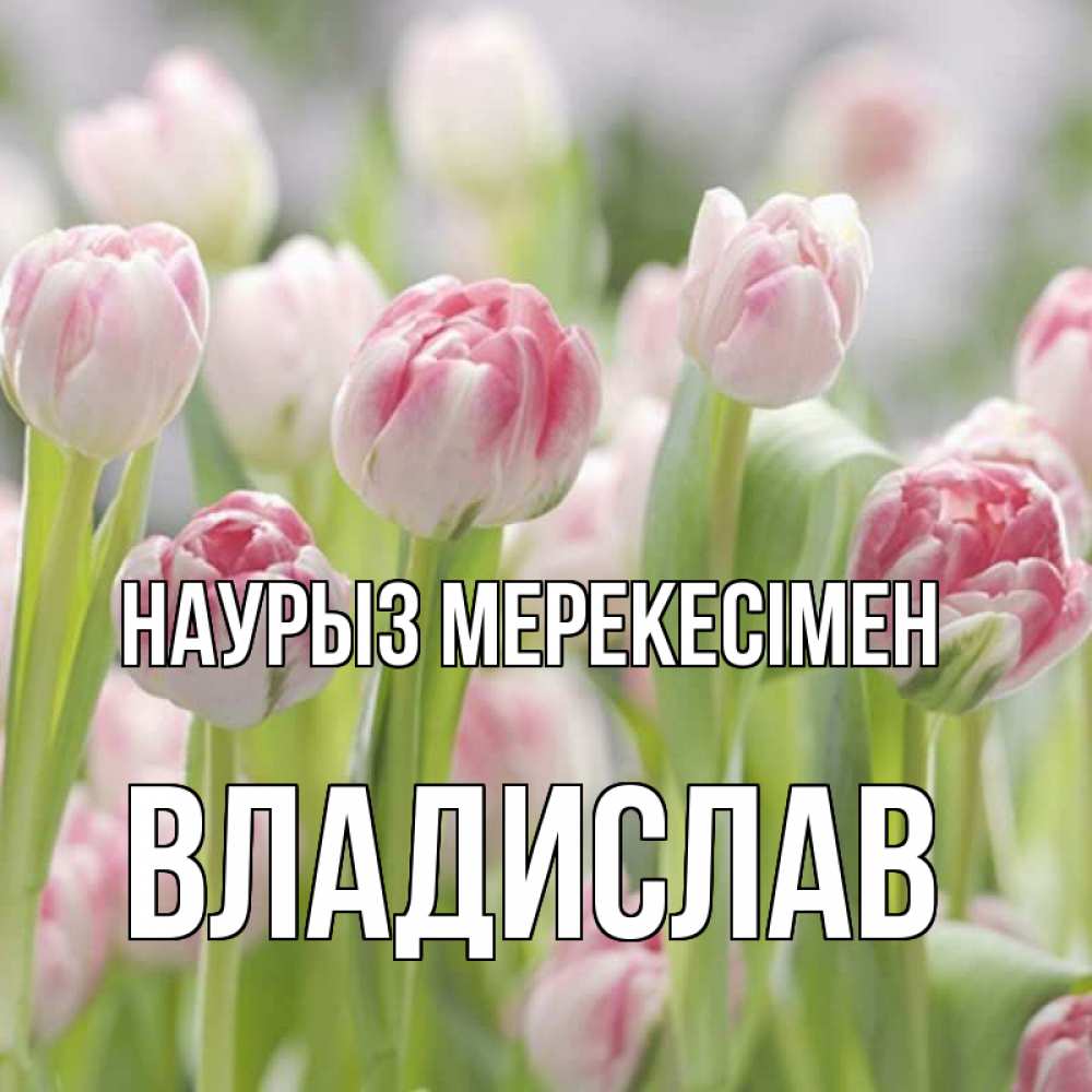Күн сайын ашық хат с именем, Владислав Наурыз мерекесімен цветы Онлайн тегін жүктеп алу тілектері бар керемет карта 